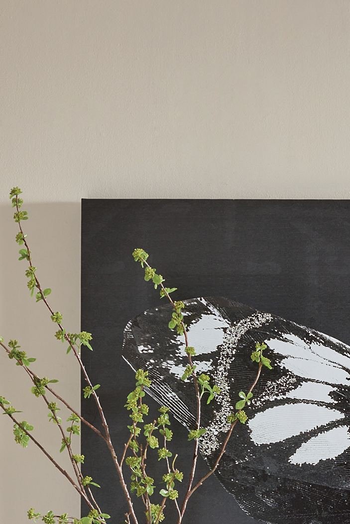 Neutral Butterfly Canvas Wall Art - Image 2